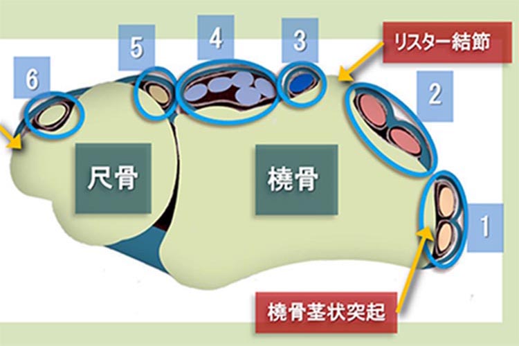 図
